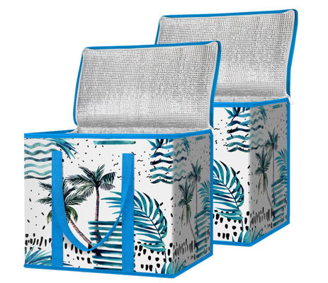 Printing Insulated Reusable Lunch Cooler Bag Collapsible For Grocery Heavy Duty