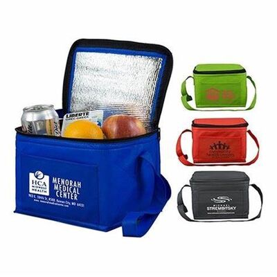 Custom 6pcs beer cans bottles cooler bag  insulated promotion thermal lunch picnic bag