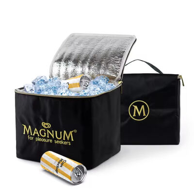 Custom 6pcs beer cans bottles cooler bag  insulated promotion thermal lunch picnic bag